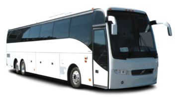 white bus (1)